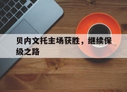 IM体育-贝内文托主场获胜，继续保级之路